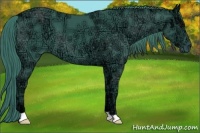 Horse Color:Watercolor Smoky Black Ice 