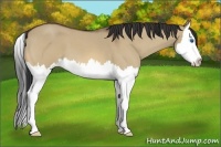 Horse Color:Bay Roan Dun Splash