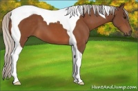 Horse Color:Silver Bay Tobiano