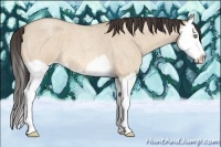 Horse Color:Amber Champagne Roan Dun Splash