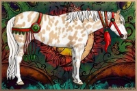 Horse Color:White Spotted Silver Sable Champagne Splash Appaloosa 