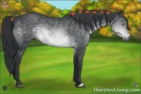 Horse Color:Brown Chinchilla Rabicano 