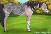 Horse Color:Black Ice 