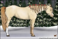 Horse Color:Red Dun Pearl 