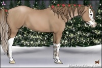 Horse Color:Black Pearl Splash 