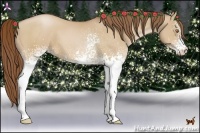 Horse Color:White Spotted Brown Pearl Dun 