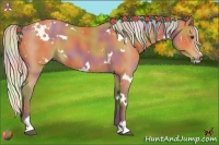 Horse Color:Nacre White Spotted Silver Bay Sabino 