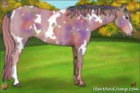 Horse Color:Nacre Watercolor White Spotted Chestnut