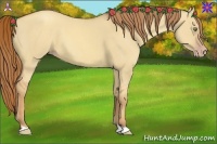 Horse Color:Gold Champagne Dun