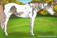 Horse Color:Liver Chestnut Splash Tobiano 