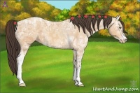 Horse Color:Amber Champagne Ice 