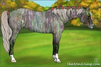 Horse Color:Silver Blue Ice Roan 