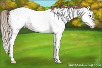 Horse Color:White Spotted Silver Bay Ice Splash