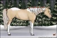 Horse Color:Silver Grullo Pearl Tobiano 