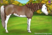 Horse Color:Red Roan Splash 