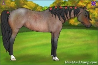 Horse Color:Bay Roan Rabicano 