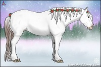 Horse Color:Brown Appaloosa 