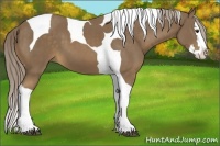 Horse Color:Chocolate Palomino Splash Tobiano 