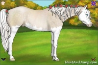 Horse Color:Silver Buckskin Pearl Sabino Splash Rabicano