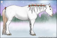 Horse Color:Buckskin Snowcap