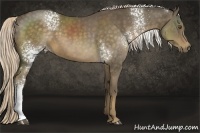 Horse Color:White Spotted Chocolate Palomino