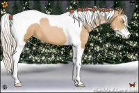 Horse Color:Silver Bay Pearl Sabino Tobiano 
