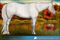 Horse Color:Liver Red Roan Snowdrop Tobiano 