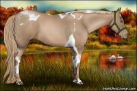 Horse Color:Liver Red Roan Pearl Tobiano