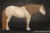 Horse Color:Liver Red Dun Pearl