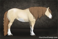 Horse Color:Liver Red Dun Pearl Sabino 