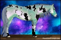 Horse Color:Watercolor White Spotted Bay Onyx 