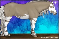 Horse Color:Silver Smoky Grullo Splash