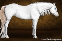 Horse Color:Gold Champagne Roan Dun Splash Varnish