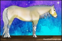 Horse Color:Watercolor Silver Buckskin Onyx