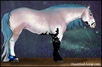 Horse Color:Watercolor Bay Onyx Sabino 