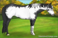 Horse Color:Black Frame