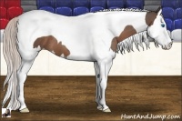 Horse Color:Silver Black Splash Tobiano 