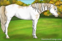 Horse Color:White Spotted Liver Chestnut Pearl Splash Frame