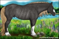 Horse Color:Liver Chestnut Rabicano