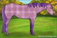 Horse Color:Watercolor Plaid  Bay 