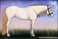 Horse Color:Smoky Blue Roan Pearl