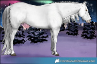 Horse Color:Smoky Black Sabino Rabicano 