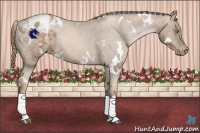 Horse Color:White Spotted Liver Chestnut Pearl Varnish 