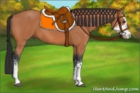 Horse Color:Bay Sabino 