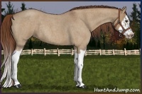 Horse Color:Red Dun Roan Splash Frame Rabicano 
