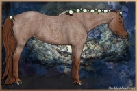 Horse Color:Red Roan 