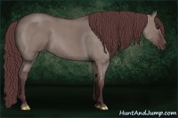 Horse Color:Chocolate Grullo Roan Sabino