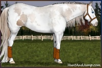 Horse Color:White Spotted Liver Chestnut Pearl Splash 