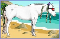 Horse Color:Amber Cream Champagne Dun Appaloosa 