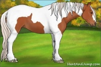 Horse Color:Silver Bay Tobiano